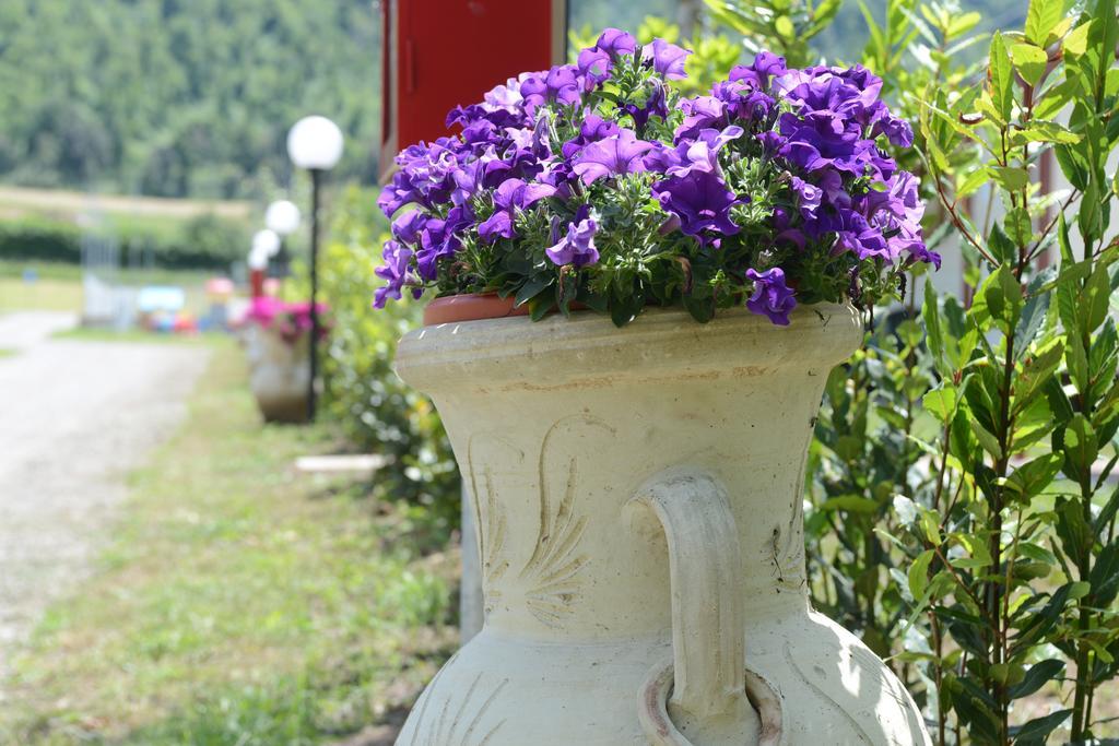 Camping Vigna Di Valle Hotel Anguillara Sabazia Exterior photo